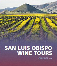 San Luis Obispo wine