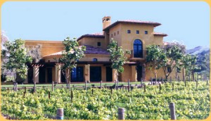 Melville Vineyards