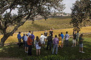 Wine Tour in Santa Barbara County