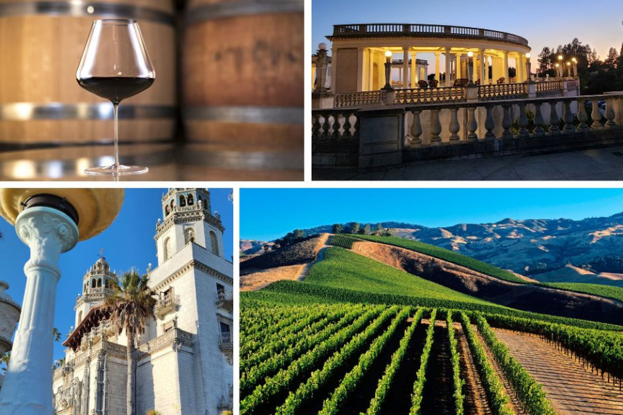 Central Coast Corporate Group Wine Tasting combined with Hearst Castle Tour