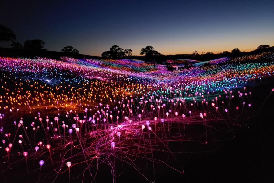 Sensorio Field of Lights, Paso Robles